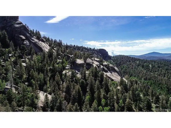 235 Hay Creek, Florissant, CO 80816