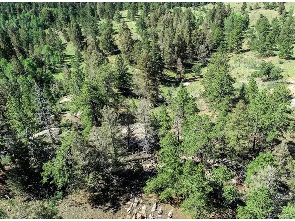 235 Hay Creek, Florissant, CO 80816