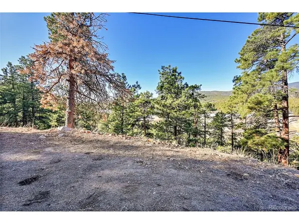 27292 Ridge, Conifer, CO 80433