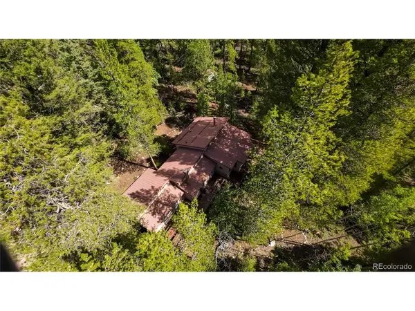 22297 County Road 292d, Nathrop, CO 81236