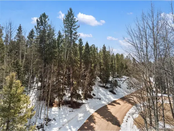 358 Pawutsy, Florissant, CO 80816