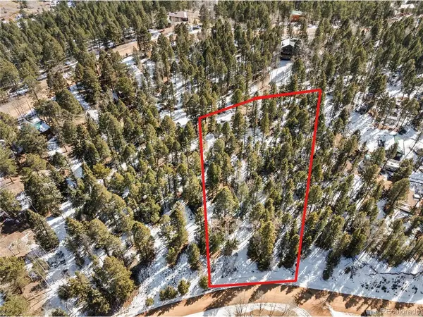 358 Pawutsy, Florissant, CO 80816
