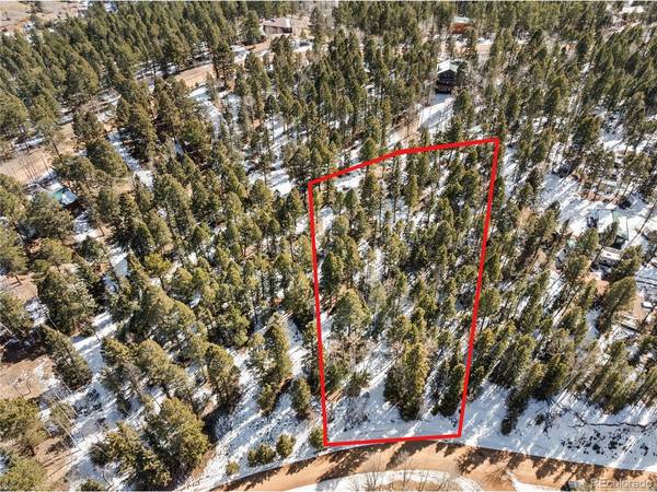 358 Pawutsy, Florissant, CO 80816