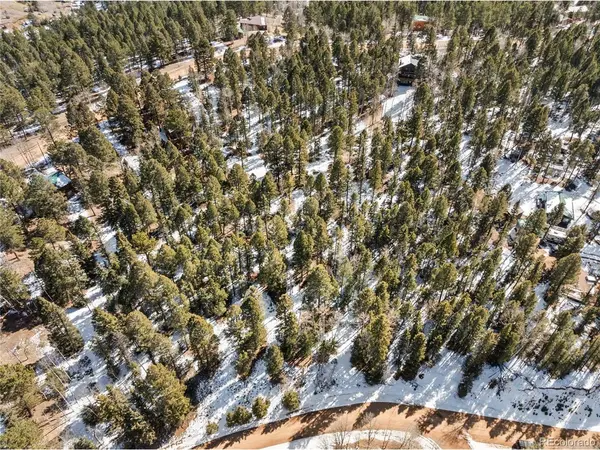 358 Pawutsy, Florissant, CO 80816