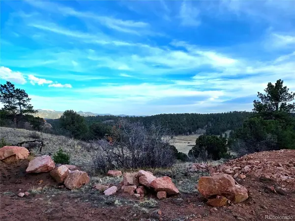 204 Pine, Florissant, CO 80816