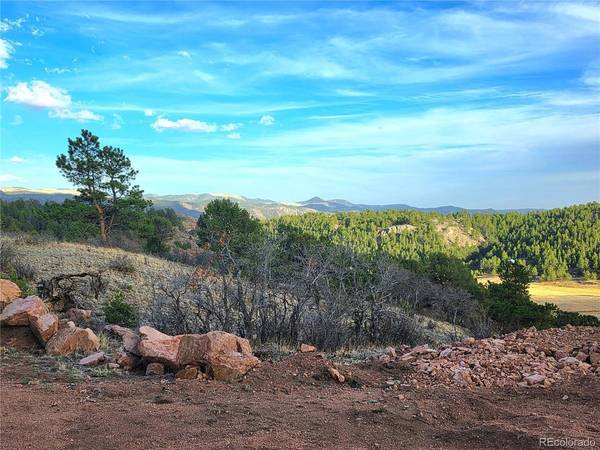 204 Pine, Florissant, CO 80816