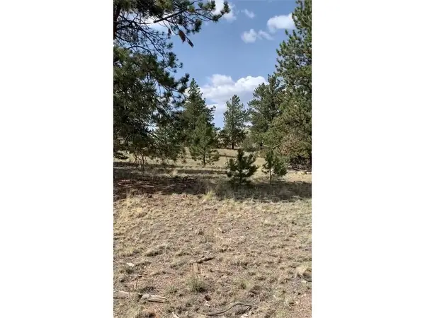 Address not disclosed, Hartsel, CO 80449