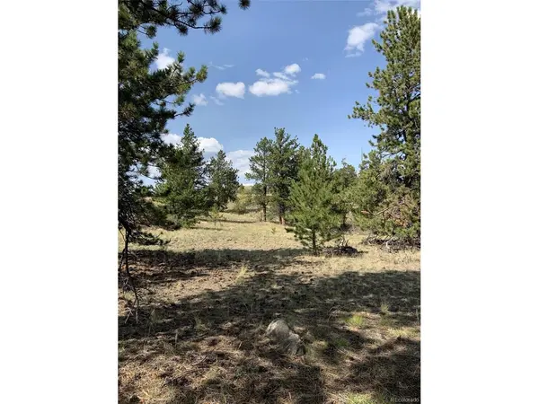 Address not disclosed, Hartsel, CO 80449