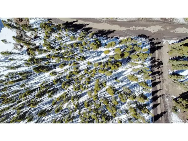 118 CR 535, Breckenridge, CO 80424