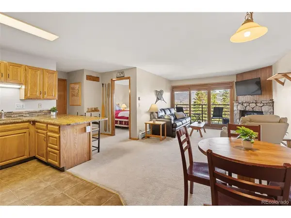 Address not disclosed, Silverthorne, CO 80498