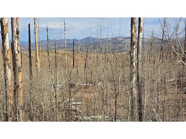 880 Slaoui, Fort Garland, CO 81133