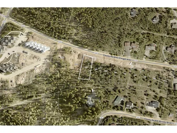 224 County Road 8342, Fraser, CO 80442