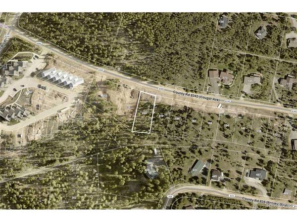 224 County Road 8342, Fraser, CO 80442