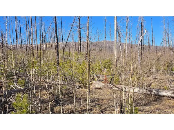 1460 Von Heyl, Fort Garland, CO 81133