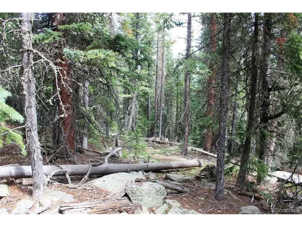 0 Hidden Wilderness, Idaho Springs, CO 80452