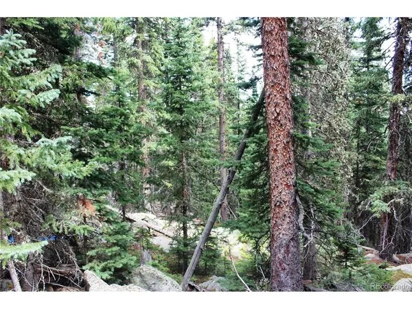 0 Hidden Wilderness, Idaho Springs, CO 80452