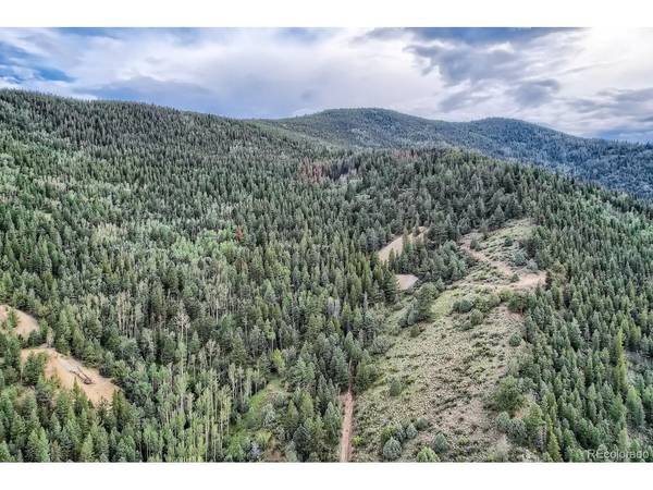 Lots 1 & 2 Harvest Moon Trail, Dumont, CO 80436