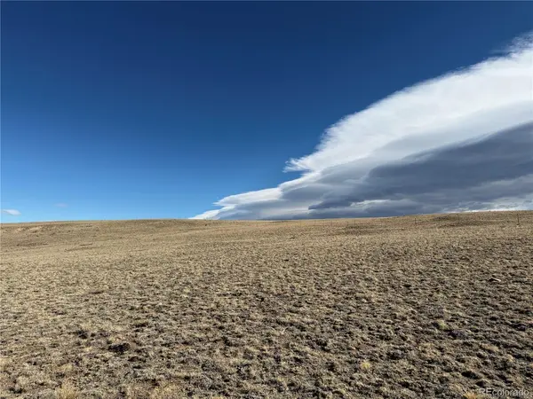 66 Wagon Wheel, Hartsel, CO 80449