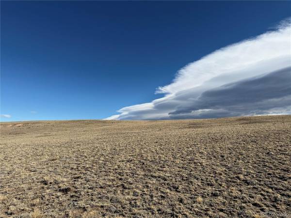 66 Wagon Wheel, Hartsel, CO 80449