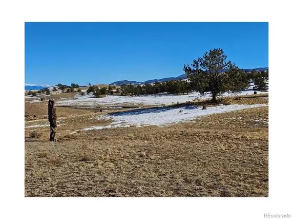 391 Gulch, Hartsel, CO 80449