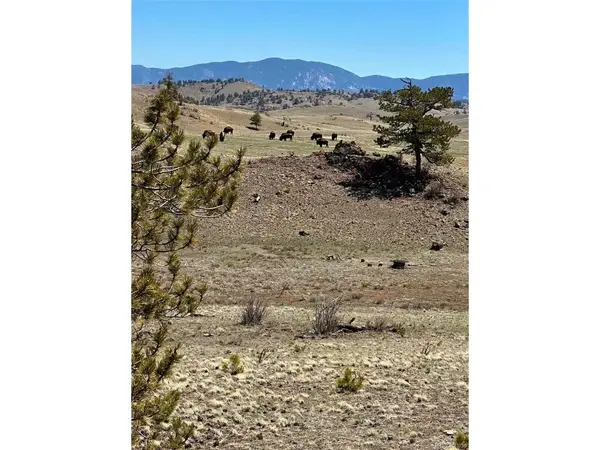 391 Gulch, Hartsel, CO 80449
