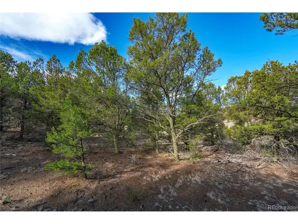 1382 Chinook, Canon City, CO 81212