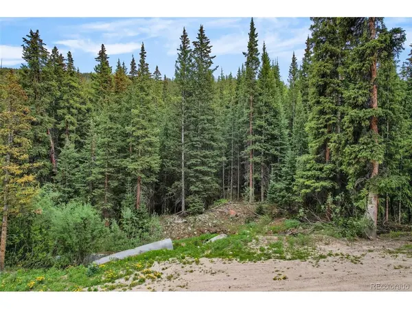 286 CTY Road 675, Breckenridge, CO 80424