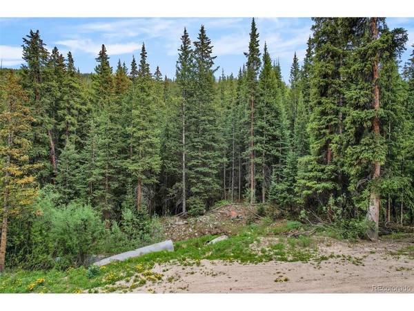 286 CTY Road 675, Breckenridge, CO 80424