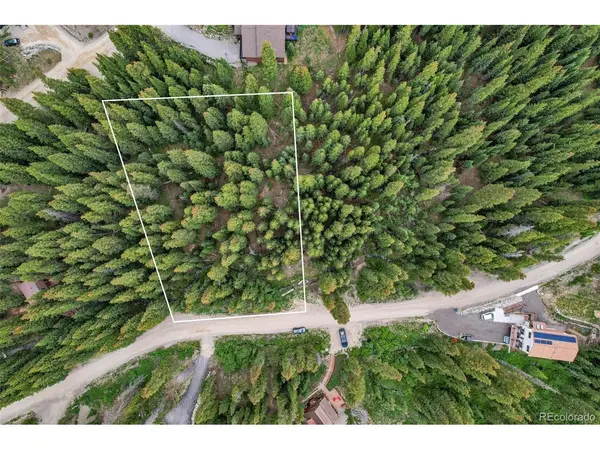 286 CTY Road 675, Breckenridge, CO 80424