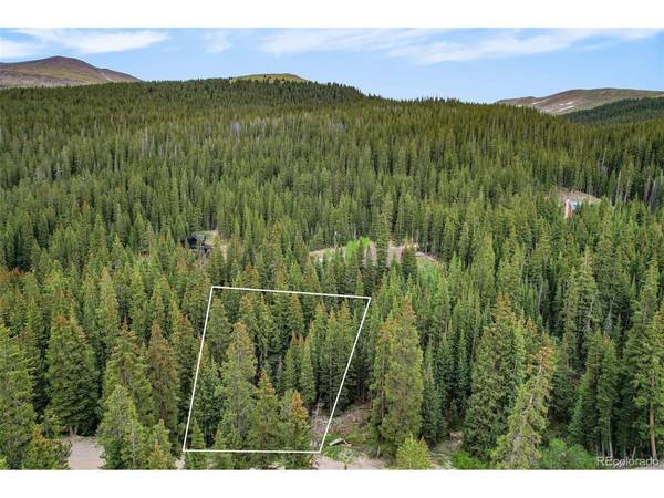 286 CTY Road 675, Breckenridge, CO 80424