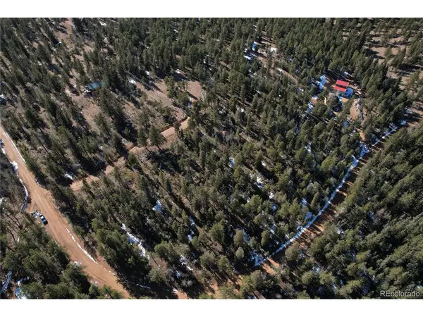 927 Forest, Bailey, CO 80421