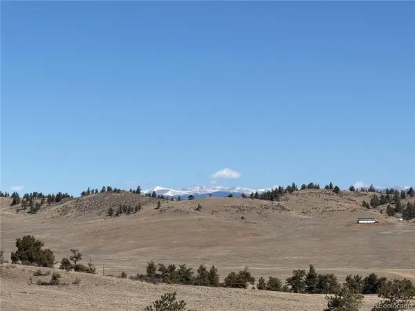 367 Arikara, Hartsel, CO 80449