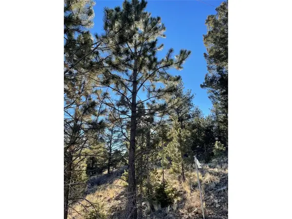 0 Tarryall, Hartsel, CO 80449