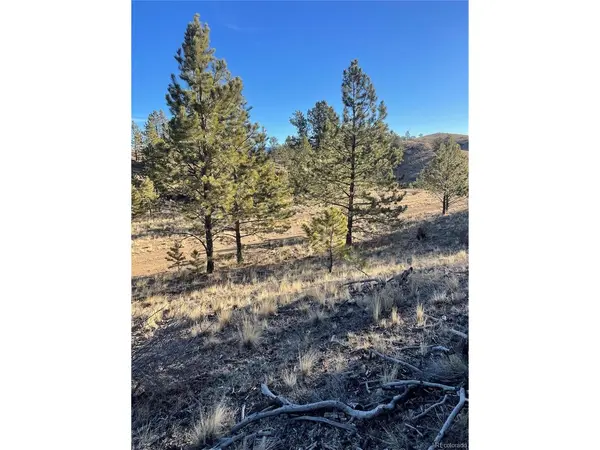 0 Tarryall, Hartsel, CO 80449