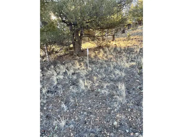 0 Tarryall, Hartsel, CO 80449