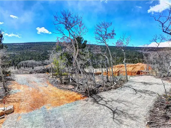 2515 High Creek, Fairplay, CO 80440
