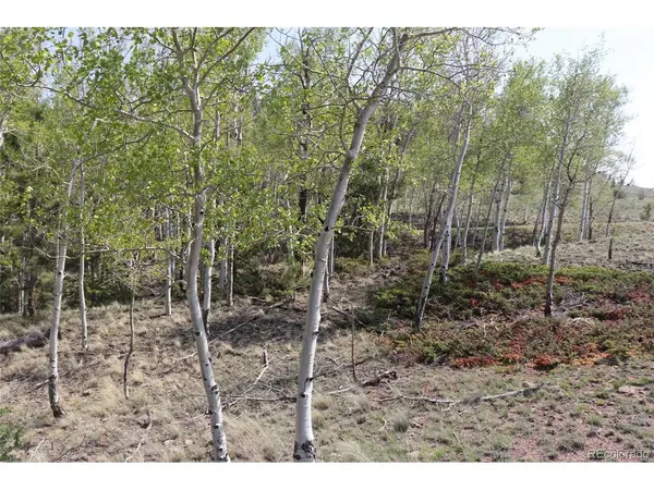 687 Corral, Hartsel, CO 80449