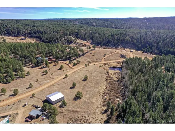 169 Saddleback Creek, Florissant, CO 80816