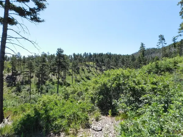 8249 Yuma, Larkspur, CO 80118