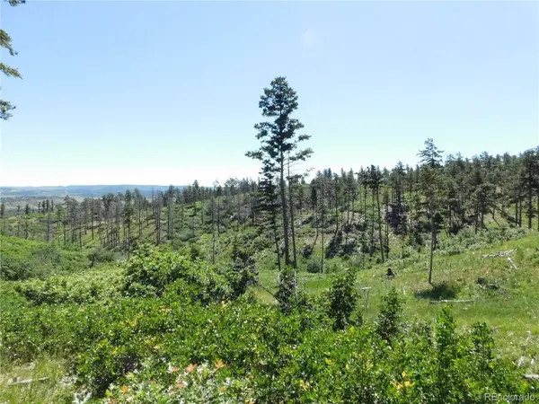 8249 Yuma, Larkspur, CO 80118