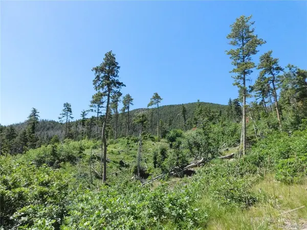 8249 Yuma, Larkspur, CO 80118