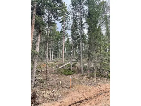 222 Banner, Florissant, CO 80816