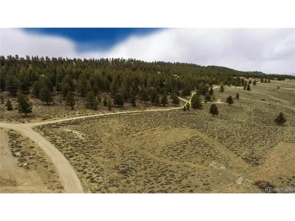1111 George Safken, Twin Lakes, CO 81251