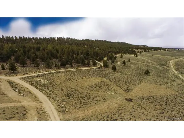 1111 George Safken, Twin Lakes, CO 81251