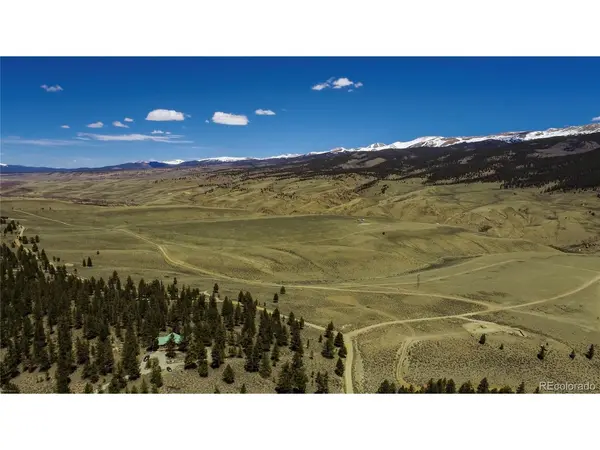 1111 George Safken, Twin Lakes, CO 81251