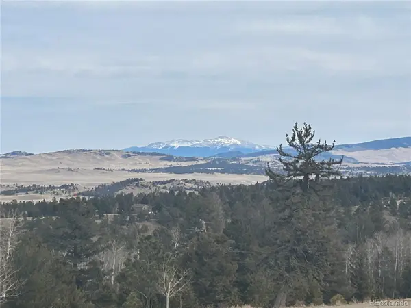 1421 Pitchfork, Hartsel, CO 80449
