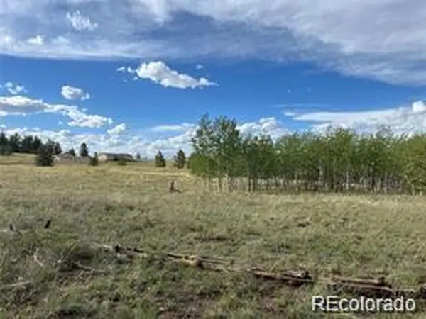 1599 Campfire, Hartsel, CO 80449
