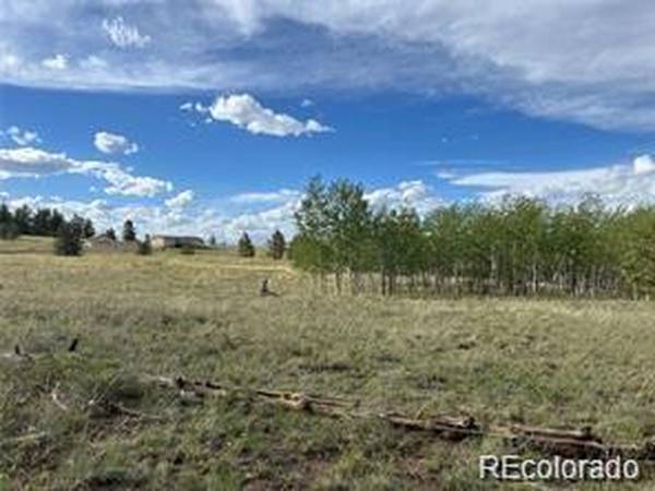 1599 Campfire, Hartsel, CO 80449