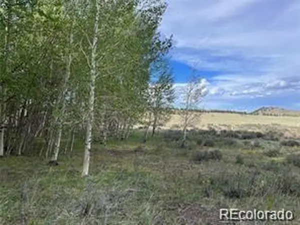 1599 Campfire, Hartsel, CO 80449