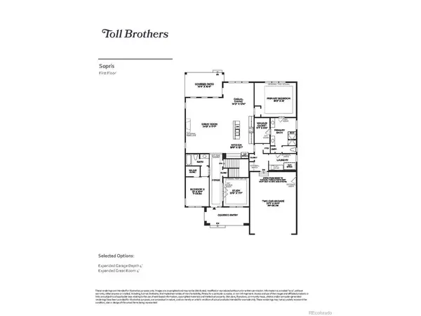 64 Leafy Aster, Castle Rock, CO 80104